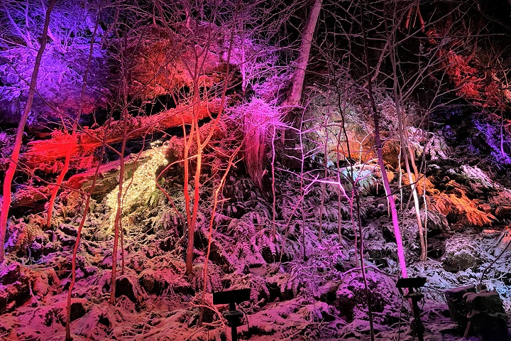 ▲「冬花火 in 十和田湖」。　圖：十和田奥入瀬観光機構/提供