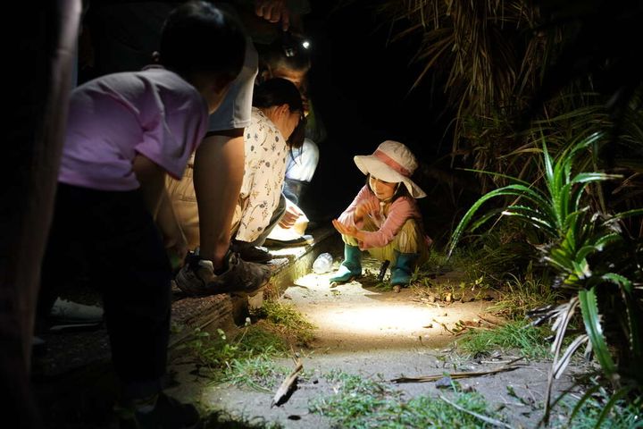 ▲夜探三仙台活動。　圖：東部海岸國家風景區管理處／提供