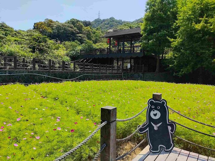 ▲樟樹步道路線平緩。　圖：台北市政府工務局大地工程處／提供