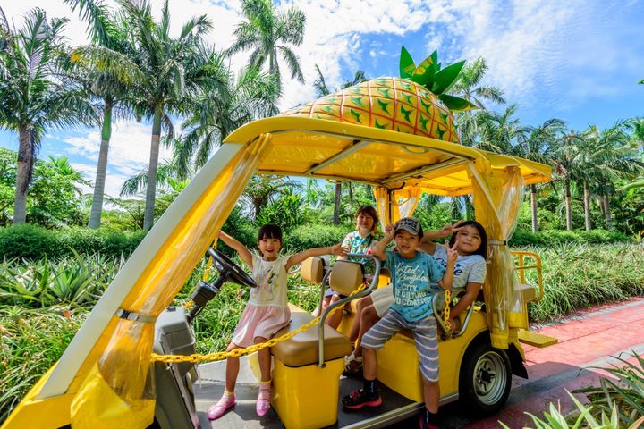 「名護鳳梨園」搭超萌鳳梨車穿梭亞熱帶森林，在鮮黃可愛的鳳梨造景前拍照打卡。　圖：NAGO PINEAPPLE PARK官網／來源