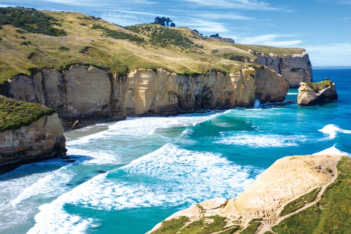 但尼丁的隧道海灘（Tunnel Beach）也是必遊景點之一。　圖：shutterstock／來源 