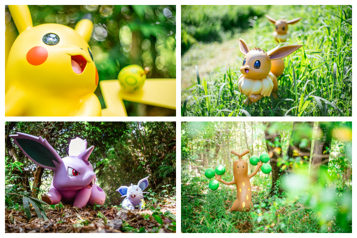 ▲森林區域營造出野外寶可夢間日常生活互動感。　圖：The Pokémon Company／提供