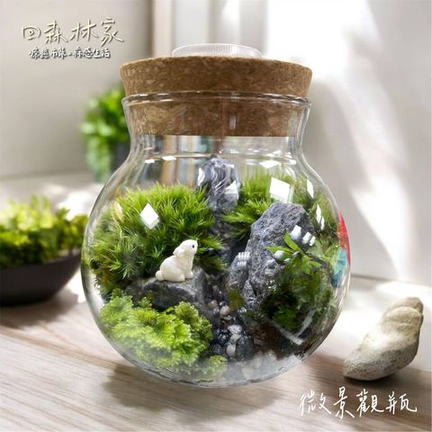 ▲2025回森林家「微景觀瓶手作DIY」。　圖：林業保育署新竹分署／提供