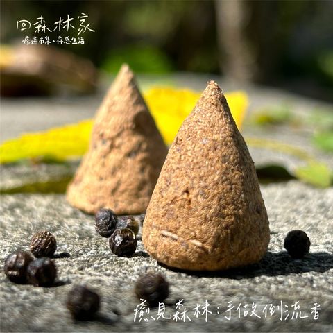 ▲2025回森林家「癒見森林：手作倒流香」。　圖：林業保育署新竹分署／提供