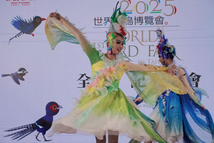▲舞蹈詮釋鳥之美－培培動態藝術中心帶來《羽語台灣－羽之頌》舞蹈演出，以舞姿詮釋藍鵲、朱雀等台灣特有鳥類意象，展現自然與藝術的融合。　圖：參山國家風景區管理處／提供
